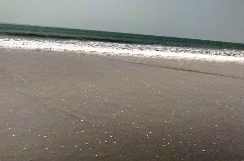 Saritas Guest House - Bogmalo Beach 外观 照片